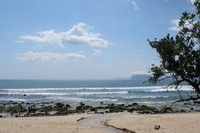 Pantai Pancur wajib masuk dalam daftar destinasi tujuan Anda ketika datang ke Taman Nasional Alas Purwo. Inilah si cantik dari Banyuwangi (Afif/detikTravel)