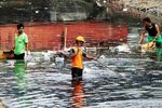 Antisipasi Banjir, Sungai Dibersihkan