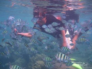 Karimunjawa, Pelarian Akhir Pekan dari Jakarta