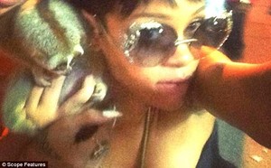 Gara-gara Rihanna, Turis Dilarang Foto dengan Hewan Langka