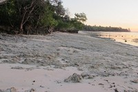 Anda bisa berjalan menyusuri Pantai G-Land sambil menunggu sunset cantik di sana. Rasakan pasirnya yang halus saat disapu dengan kaki Anda. Tapi hati-hati melangkah, karena juga banyak bebatuan karang di sana (Afif/detikTravel)