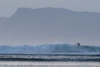 Meski hari sudah sore, beberapa surfer terlihat dari kejauhan masih berselancar. Ombak di Pantai G-Land terkenal gahar dan tingginya bisa sampai 6 meter (Afif/detikTravel)
