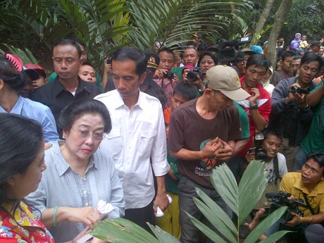 Mega dan Jokowi Tanam Salak di Condet
