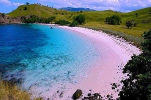 Mengunjungi Rumah Si Kadal Raksasa di Flores