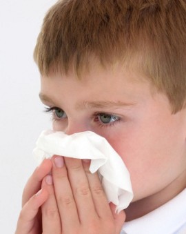 Beri Anak Ikan, Yogurt, dan Buah Agar Tak Mudah Terserang Flu