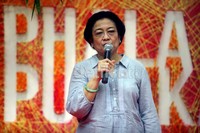 Kali ini dua tokoh PDIP itu blusukan di perkampungan padat di bilangan Condet untuk menanam salak.