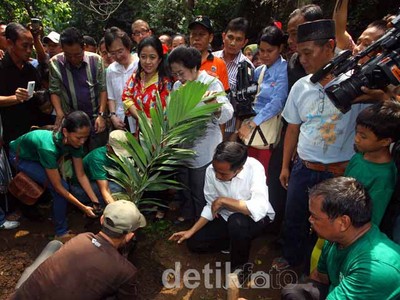 Mega dan Jokowi Kompak Menanam Pohon