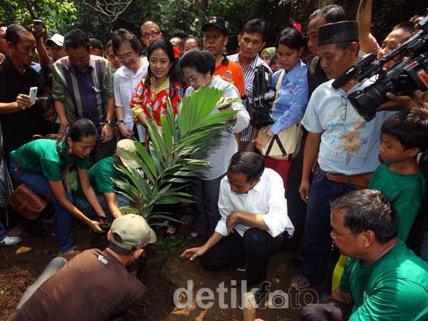 Mega dan Jokowi Kompak Menanam Pohon