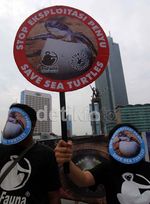 Aksi Pelestarian Penyu