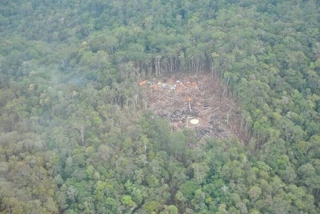 Ini Dia Rimba Belantara di Kaltara, Lokasi Jatuhnya Heli MI-17