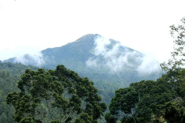 Seorang Pendaki Ditemukan Tewas di Gunung Lawu