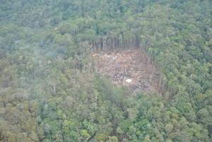 Ini Dia Rimba Belantara di Kaltara, Lokasi Jatuhnya Heli MI-17