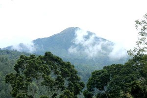Seorang Pendaki Ditemukan Tewas di Gunung Lawu