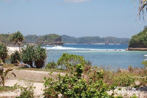 Pantai Goa Cina Perawan Yang Sedang Mekar Di Malang
