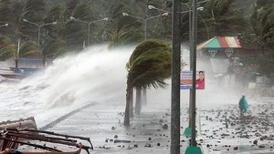 PBB dan Uni Eropa Galang Bantuan untuk Korban Topan Haiyan di Filipina