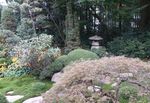 Uniknya Taman 250 Tahun di Jepang