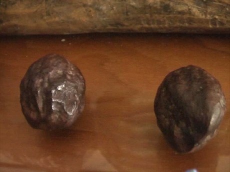 11 Warga Garut Diamankan Polisi Karena Adu Kemiri