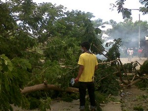 Rusuh Demo Pemekaran di Luwu, Polri Sudah Ingatkan Warga
