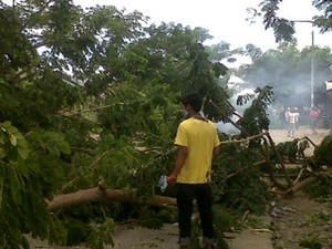 Demo Ribuan Warga Luwu Soal Pemekaran Rusuh, Polisi Keluarkan Tembakan