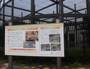 Taman Ohama di Sakai Ini Punya Kandang Monyet Hingga Gunung