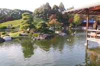 Unsur-unsur taman Jepang seperti air, batu-batu, tanaman yang dibentuk seperti bonsai, rumah apung, bunga sakura sungguh memanjakan mata (Hany/detikTravel)
