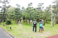 Gunung terpendek di Jepang juga berada di kawasan Taman Ohama. Gunung Sotetsu (Sotetsuyama) hanya memiliki tinggi 6,96 meter (Hany/detikTravel)