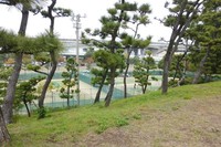 Kontur taman ada yang berbukit-bukit, dari ketinggian di bukit itu tampak beberapa sarana olahraga seperti lapangan baseball, kolam renang, gym hingga gelanggang latihan sumo (Hany/detikTravel)