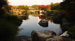 Romantisme di Japanese Garden yang Cantik