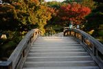 Romantisme di Japanese Garden yang Cantik