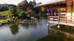 Romantisme di Japanese Garden yang Cantik