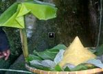 Warga Gelar Ritual Kuno Agar Sinabung Tenang