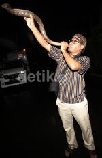 Pria Berblangkon Tiup Terompet di Rumah Anas