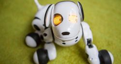 Zoomer, Robot Anjing yang Memikat Hati