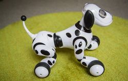Zoomer, Robot Anjing yang Memikat Hati
