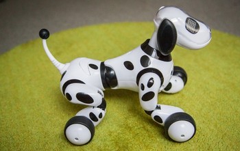 Zoomer memiliki 4 roda sebagai kakinya. (kredit foto: Mashable)
