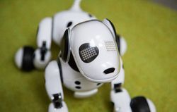 Zoomer, Robot Anjing yang Memikat Hati