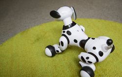 Zoomer, Robot Anjing yang Memikat Hati