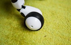 Zoomer, Robot Anjing yang Memikat Hati
