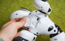 Zoomer, Robot Anjing yang Memikat Hati