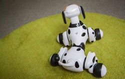 Zoomer, Robot Anjing yang Memikat Hati