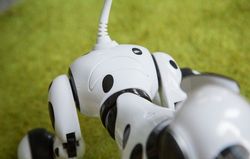 Zoomer, Robot Anjing yang Memikat Hati