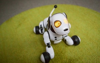 Di bagaian mata terdapat LED yang bisa memberitahu sang pemilik bagaimana keadaan Zoomer misalnya saat seperti membutuhkan pengisian ulang baterai. (kredit foto: Mashable)