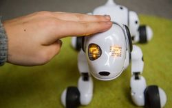 Zoomer, Robot Anjing yang Memikat Hati