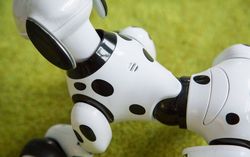 Zoomer, Robot Anjing yang Memikat Hati