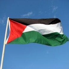 Rumah Dibakar Warga Yahudi, 5 Anak Palestina Luka-luka