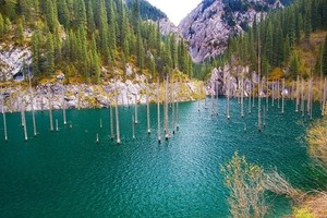 Kazakhstan Punya Hutan di Dalam Danau