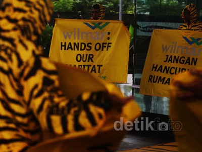 Harimau Geruduk Kantor Wilmar