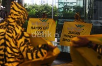 Dalam aksinya, mereka memakai kostum harimau.