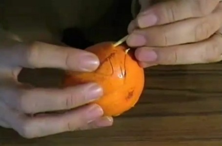 Mikan Art, Seni Mengupas Kulit Jeruk Mandarin