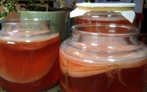 Kombucha, Teh Fermentasi Bersoda yang Bisa Sembuhkan Kanker?